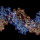 Image for article titled Your Family DNA Could Be Used Against You by the Law